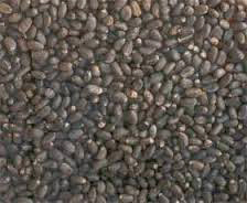 Palm Kernel Nuts