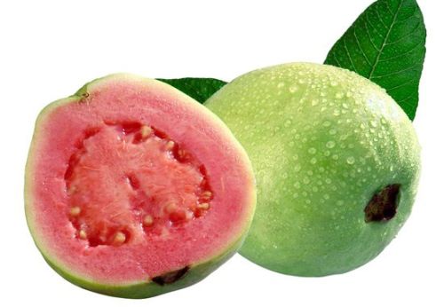 Fresh Guava