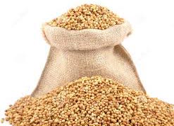 Coriander Seed