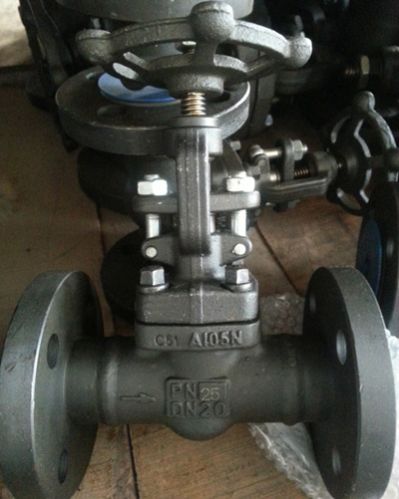 Forged Steel Flange Globe Valve