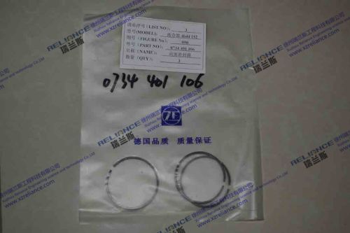 Piston Seals