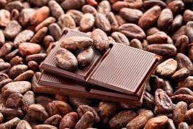 Cocoa beans, Condition : Dried