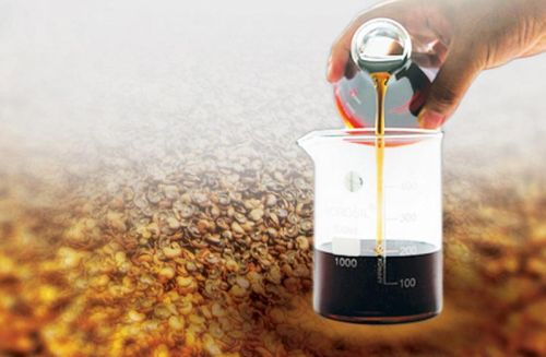 Refined Cashew Shell Nut Oil