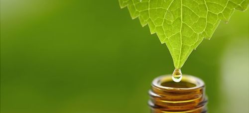 Natural Flower Extracts