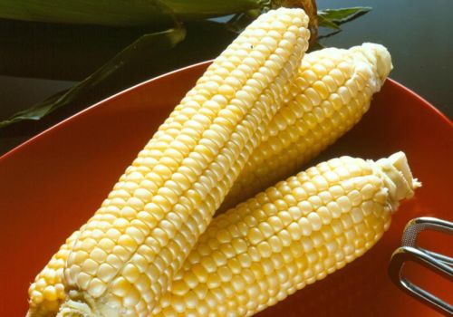 Sweet Corn