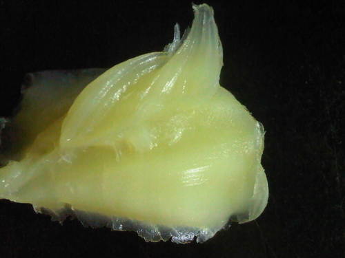 Petrolatum Wax