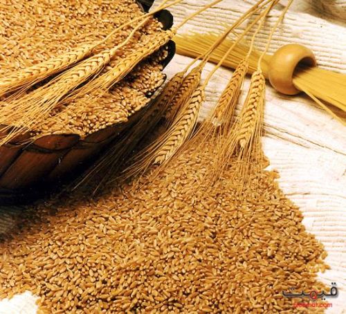 Wheat, Cultivation Type : Natural