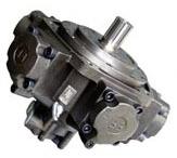 Hydraulic Piston Motor