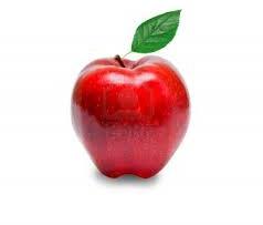 Fresh apple, Shelf Life : 15 Days