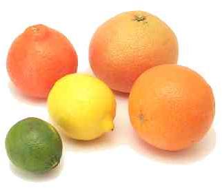 Fresh orange Storage : Refrigerate For Longer Shelf Life