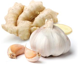 Fresh garlic, Delivery Available : Vegetable