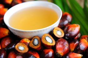 Palm oil, Application : Cooking, Baking, Frying