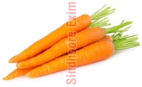 Fresh carrot, Quality Available : A Grade