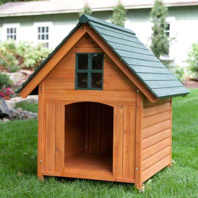 Polished Dog PET House, Feature : Attractive Pattern, Fine Finish, Hand Made, Hard Structure, Light Weight