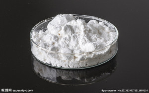 Testosterone Propionate, Packaging Size : 1*10 Amopuels,1ml