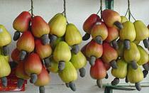 Cashew nuts, Color : Creamy