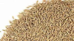 Cumin Seeds