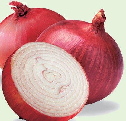 Fresh Onion