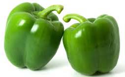 Fresh Green Capsicum