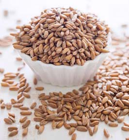 Organic Spelt Grains