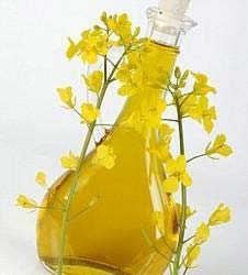 Rapeseed oil Form : Liquid