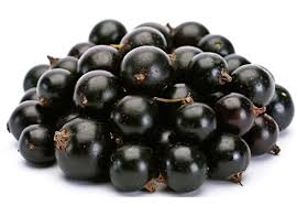 Acai Fruit Juice Concentrate