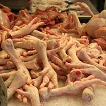 Frozen chicken, Storage Condition : Frozen