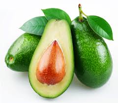 Common fresh avocado, Packaging Type : GREEN SKIN