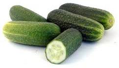 Fresh Cucumber,fresh Cucumber, Packaging Type : As Buyer Requirement
