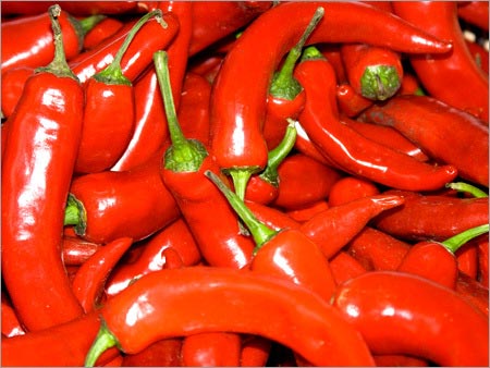 Organic Fresh Red Chilli, For Cooking, Souce, Feature : Freshness, High Nutrition Value, Hygienically Packed