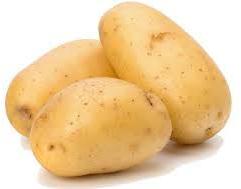 Organic Fresh Potato, For Cooking, Packaging Type : Guny Bag