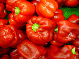 Red Capsicum