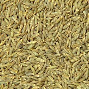 Cumin seeds, Shelf Life :1 Year