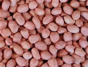 Java Groundnut Kernels