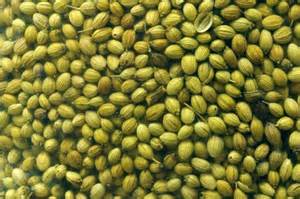 Green Coriander Seeds