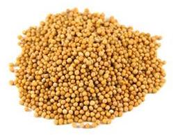 Yellow Mustard Seeds