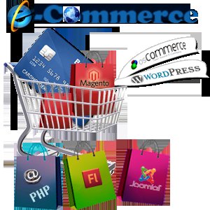E Commerce Development