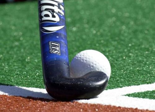 PP Plastic Artificial Turf, Length : 0-25 Mtr