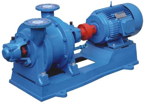 Liquid Ring Type Vacuum Pump