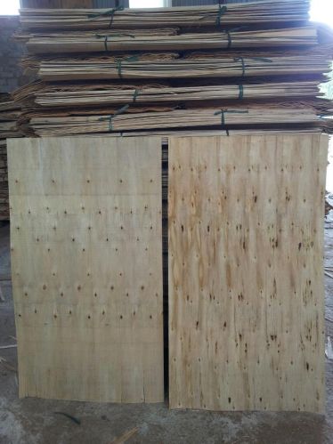 Eucalyptus Plywood