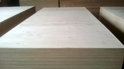 Panel Plywood
