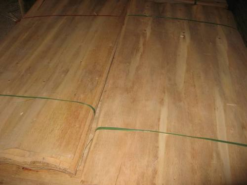 Plywood Veneers