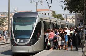 Local Transportation Services