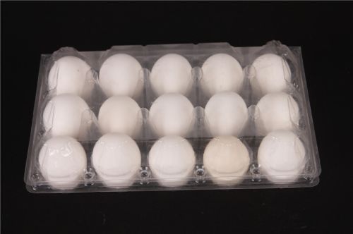 Plastic Egg Tray