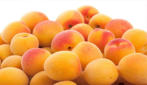 Apricots