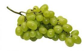 Fresh grapes, Usage : Direct Consumption, Juicing,Cooking