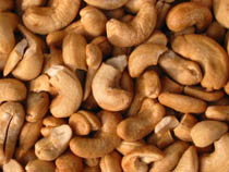 CASHEW NUT KERNEL