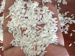 Pec Common Food Long Grain Rice, Style : Dried