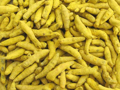 PRAMODA Turmeric Finger