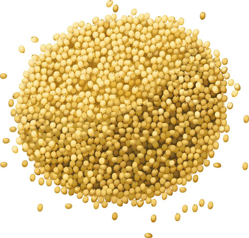 Yellow Millet